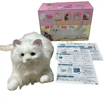응석받이 고양이 당신의 파트너