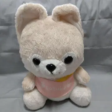 콩시바 삼형제 사스케