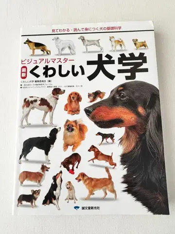 비주얼 마스터 상세한 견학