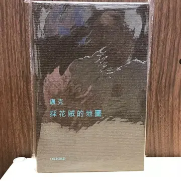 채화적 도적의 지도 마이크