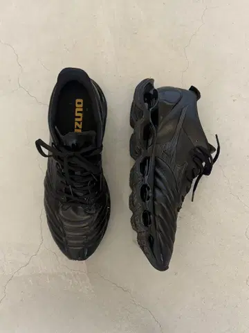 WAVE PROPHECY MORELIA NEO