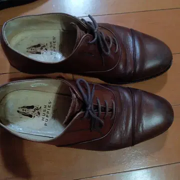 HUSH PUPPIES 브라운 드레스 신발