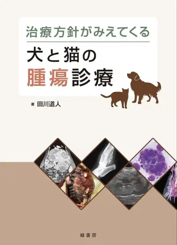 재단된 개와 고양이의 종양 진료