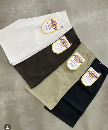 Dickies x FUTURE ARCHIVE / BAGGY SHORTS
