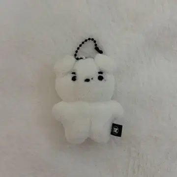 THEBOYZ 도보이즈 영훈 봉제 인형 트레이딩 카드 세트