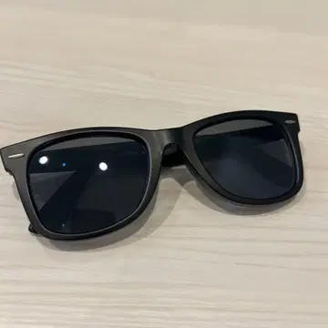 Ray-Ban 웨이페어러 매트 블랙 52 22