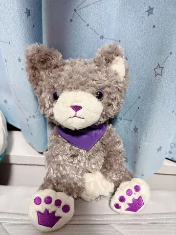 아메지스 우타프리 PRINCE CAT