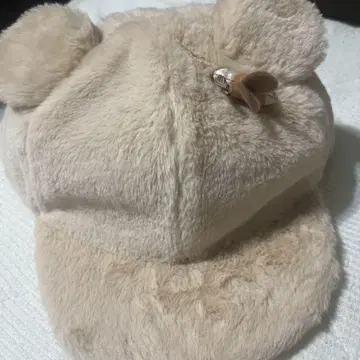 푸우 캡
