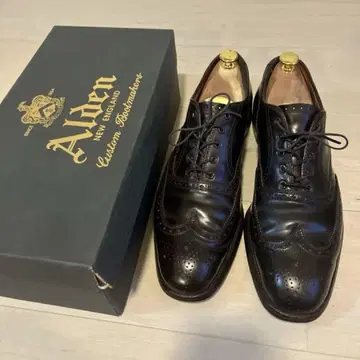 Alden 코도반 US9.5C 풀 브로그