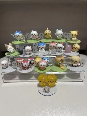 초코 서플리 치이카와 (먼작귀)