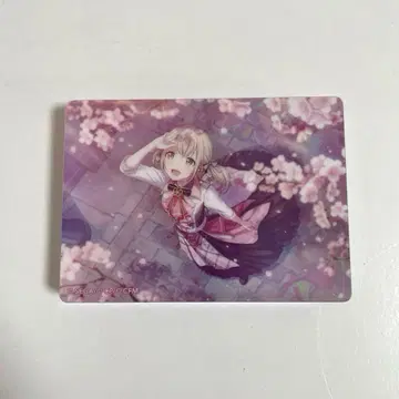 프로세카 아즈사와 코하네 노블 아트 vol.14 벚꽃