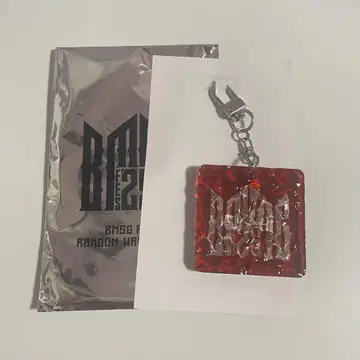 BMSG FES'25 랜덤 웨이브 키링 SKY-HI