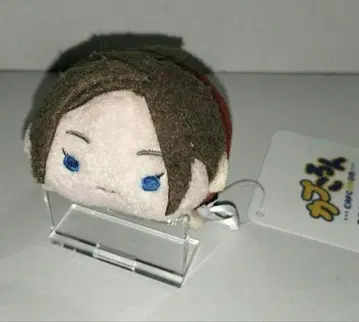 BIOHAZARD 바이오하자드 클레어 캡콜롱 캡콤 스토어