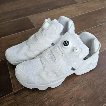 펌프 퓨리