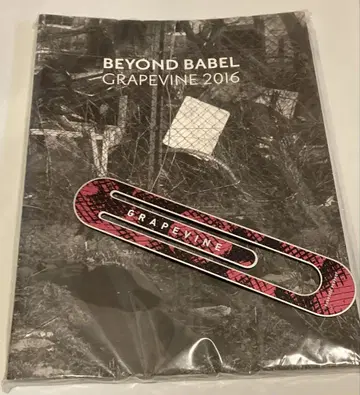 GRAPEVINE 팜플렛 그레이프바인 2016