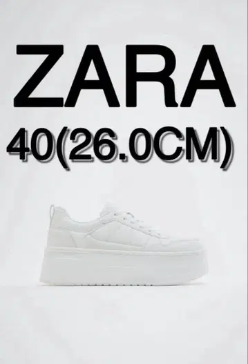 [ 완판템 ] ZARA 플랫폼 스니커즈 흰색 화이트 [ 초레어 ]