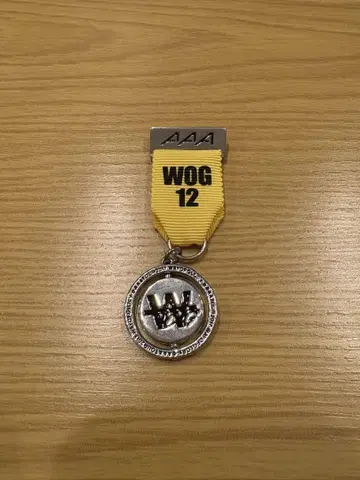 AAA WOG 핀 배지