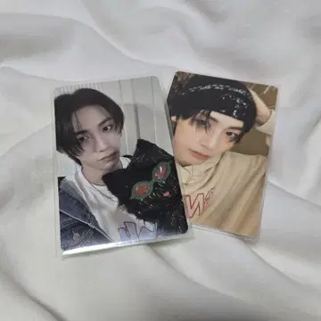 boynextdoor 태산 how 트레이딩 카드