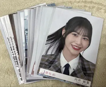 무카이 이토하 브로마이드 20장