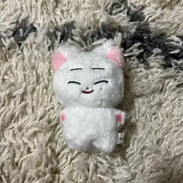 ENHYPEN 선우 봉제 인형