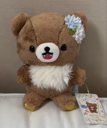 리락쿠마 스토어 한정판 차이로이코구마 가오가오 포징 봉제 인형