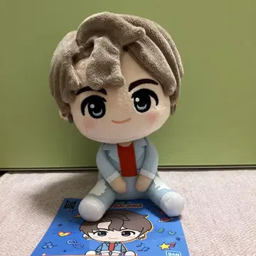 BTS 제일복권 TinyTAN DNA 정국상 봉제 인형