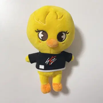 Stray Kids 스키즈 포가리