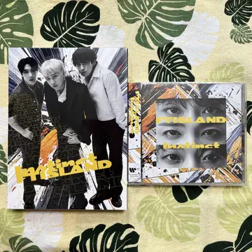 FTISLAND Instinct CD DVD 일반ver 초회 한정판