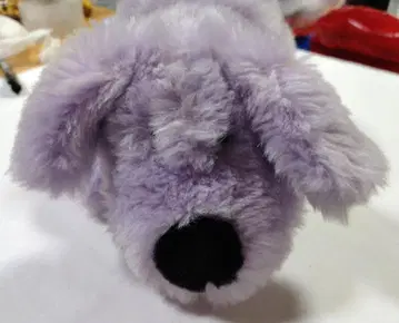 봉제 인형 강아지 퍼플 보라색