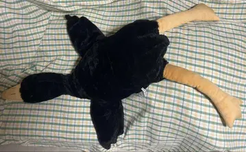 오리 초 BIG 봉제 인형