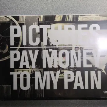 PAY MONEY TO MY PAIN 라이브 DVD