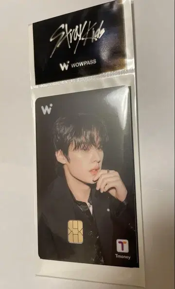(24시간 이내 발송) StrayKids WOWPASS 리노 스키즈