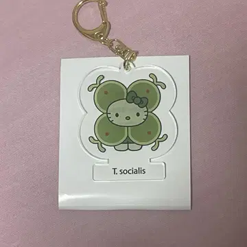 모키티 시아와세모 아크릴 키링