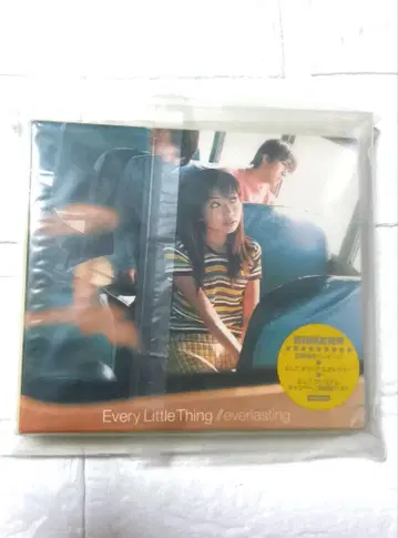 새상품 Every Little Thing everlasting 초회반