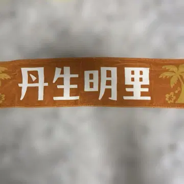 히나타 페스티벌 니부 아카리