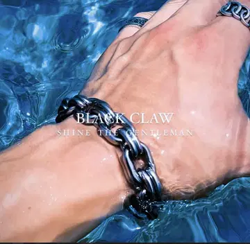 [ BLACK CLAW ] 316L Chain Bracelet