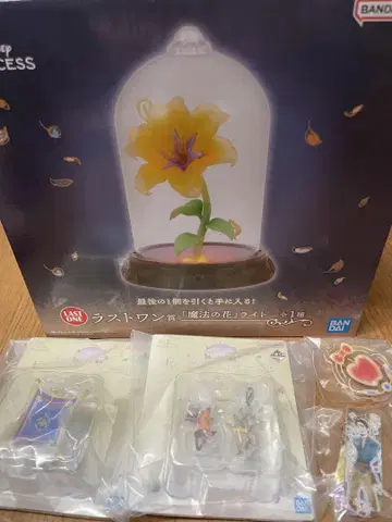 제일복권 디즈니 프린세스 라스트 원상 마법의 꽃 라이트 E상 H상