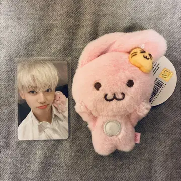 nct dream 재민 봉제 인형 트레이딩 카드 핑키