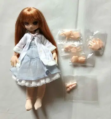 아존 피코니모 D 민디