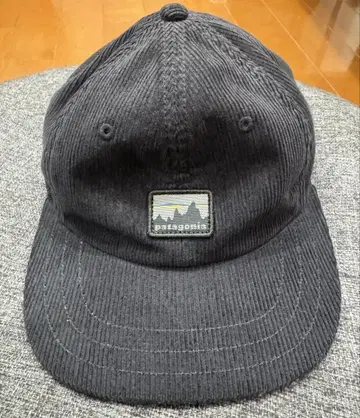 patagonia 코듀로이 캡