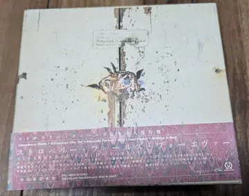 STRAWBERRY FIELDS FOREVER 스트로베리 필드