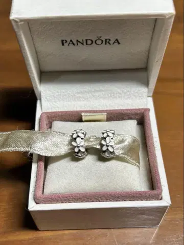 Pandora 판도라 데이지 스펜서 참 2세트
