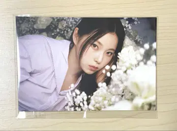 NMIXX How to Catch Aurora 엽서 규진