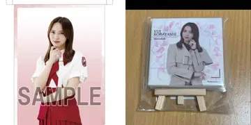 이젤 포함 미니 캔버스 보드 A3 클리어 태피스트리 코바야시 유이 세트