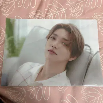 SEVENTEEN home 2022 클리어 파일 조슈아