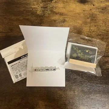 준규 treasure 헤어핀 미니 블랙 세트