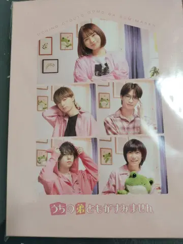 우리 남동생들이 미안해 DVD