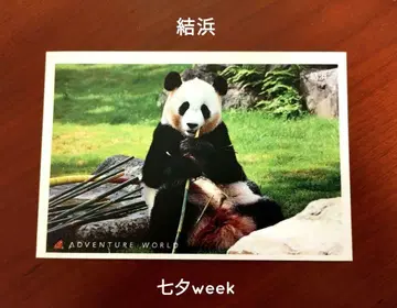 유이 칠석 week 엽서 어드벤처 월드