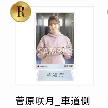 노기자카46 스가와라 사츠키 아크릴 스탠드 노기코레 차도측 레어 R