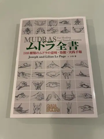 무드라 전서 108 종류의 무드라 의미 효능 실천 절차